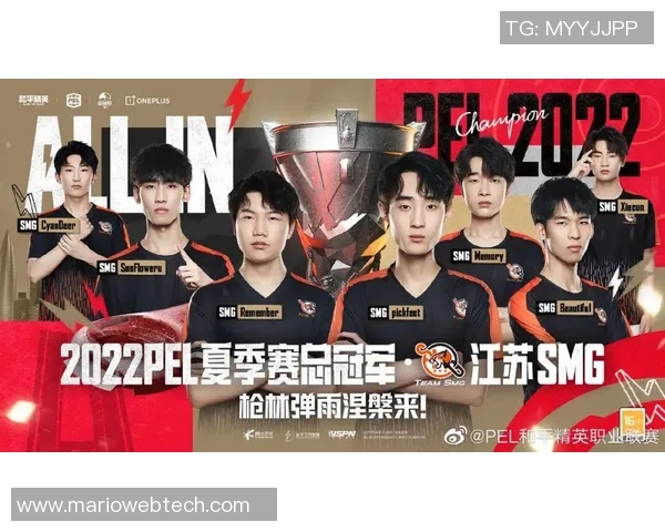 TES战队反击战术深度分析与实战应用探讨